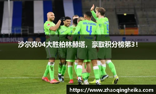 沙尔克04大胜柏林赫塔，豪取积分榜第3！