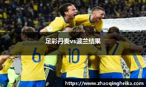 足彩丹麦vs波兰结果